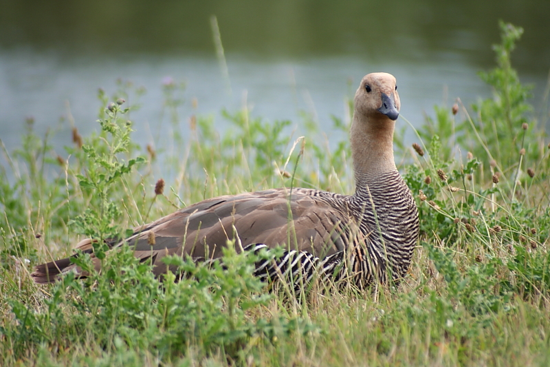 Killikus&reg; Fotographie
